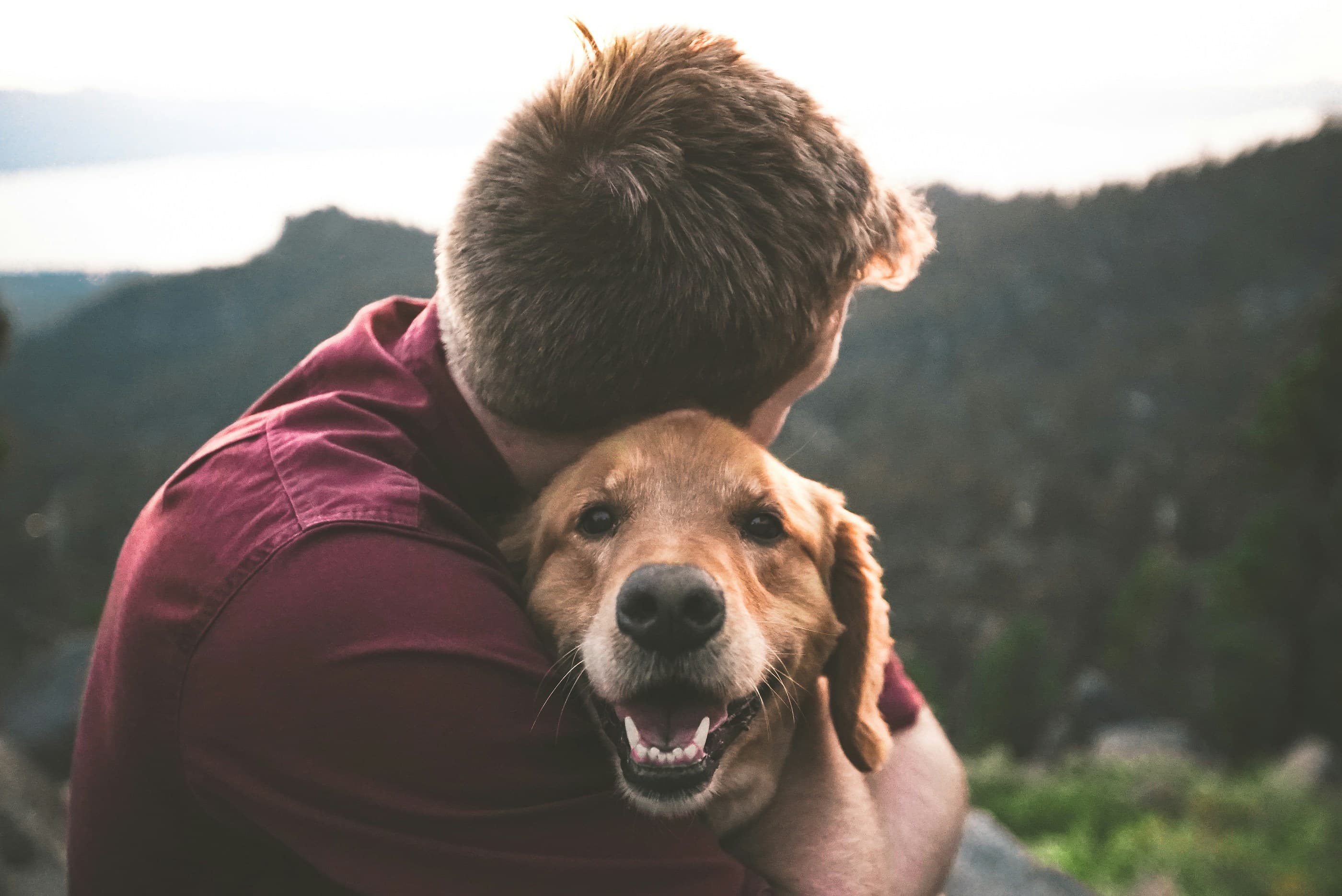 Ein Mann umarmt seinen Hund